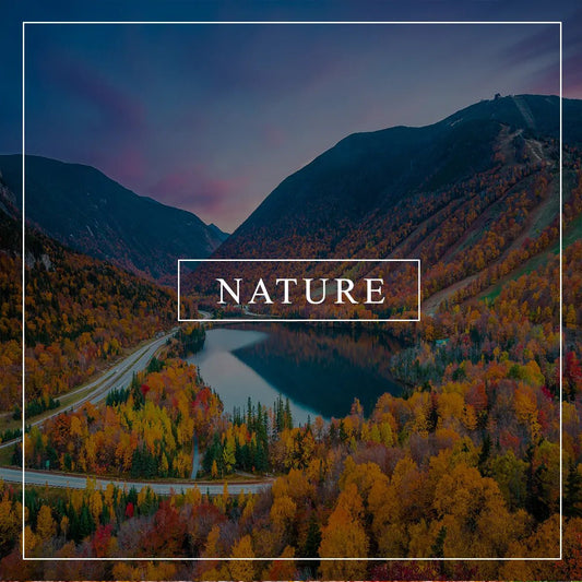 Nature Wall Art - Stunning Canvas Prints