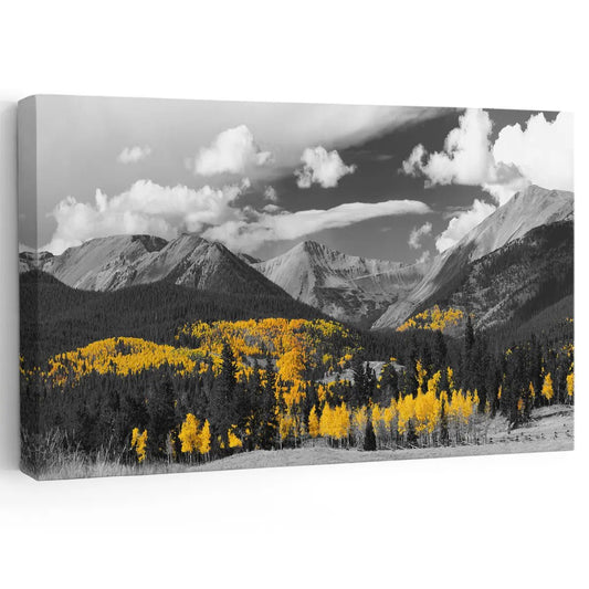 Black And White Forest Wall Art Canvas