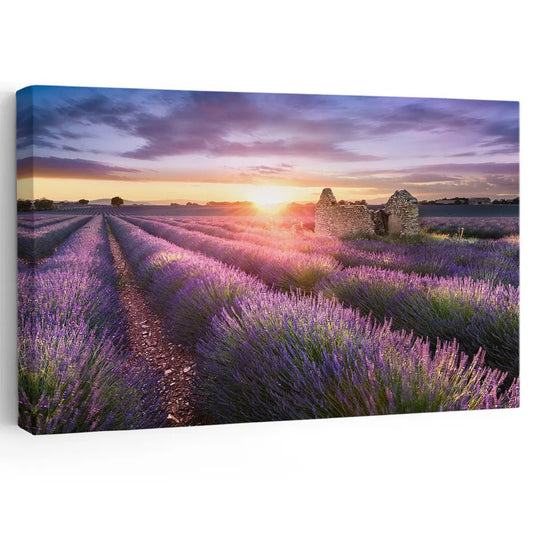 Lavender Field Sunset Wall Art Canvas