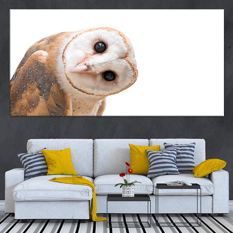 Curious Barn Owl Wall Art Canvas-Stunning Canvas Prints