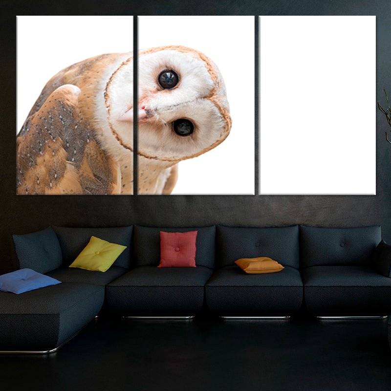 Curious Barn Owl Wall Art Canvas-Stunning Canvas Prints