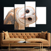 Curious Barn Owl Wall Art Canvas-Stunning Canvas Prints