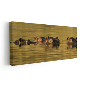 Submerged Hippos Wall Art Canvas-Stunning Canvas Prints