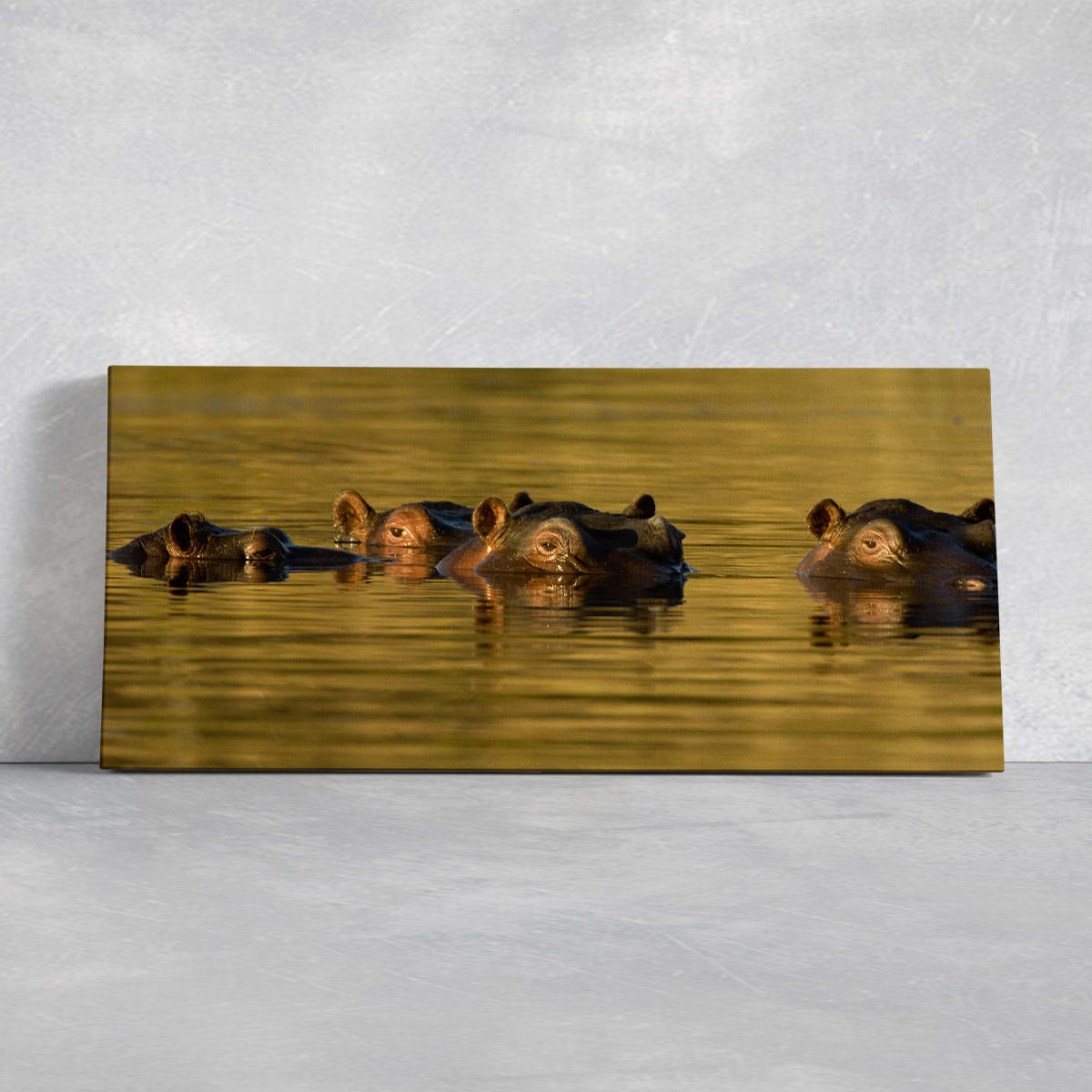 Submerged Hippos Wall Art Canvas-Stunning Canvas Prints