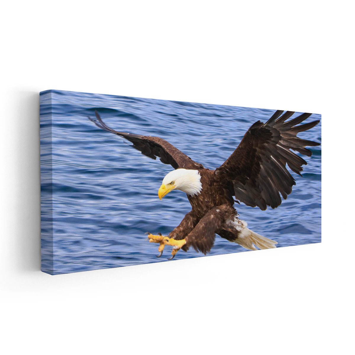 Hunting Bald Eagle Wall Art Canvas-Stunning Canvas Prints