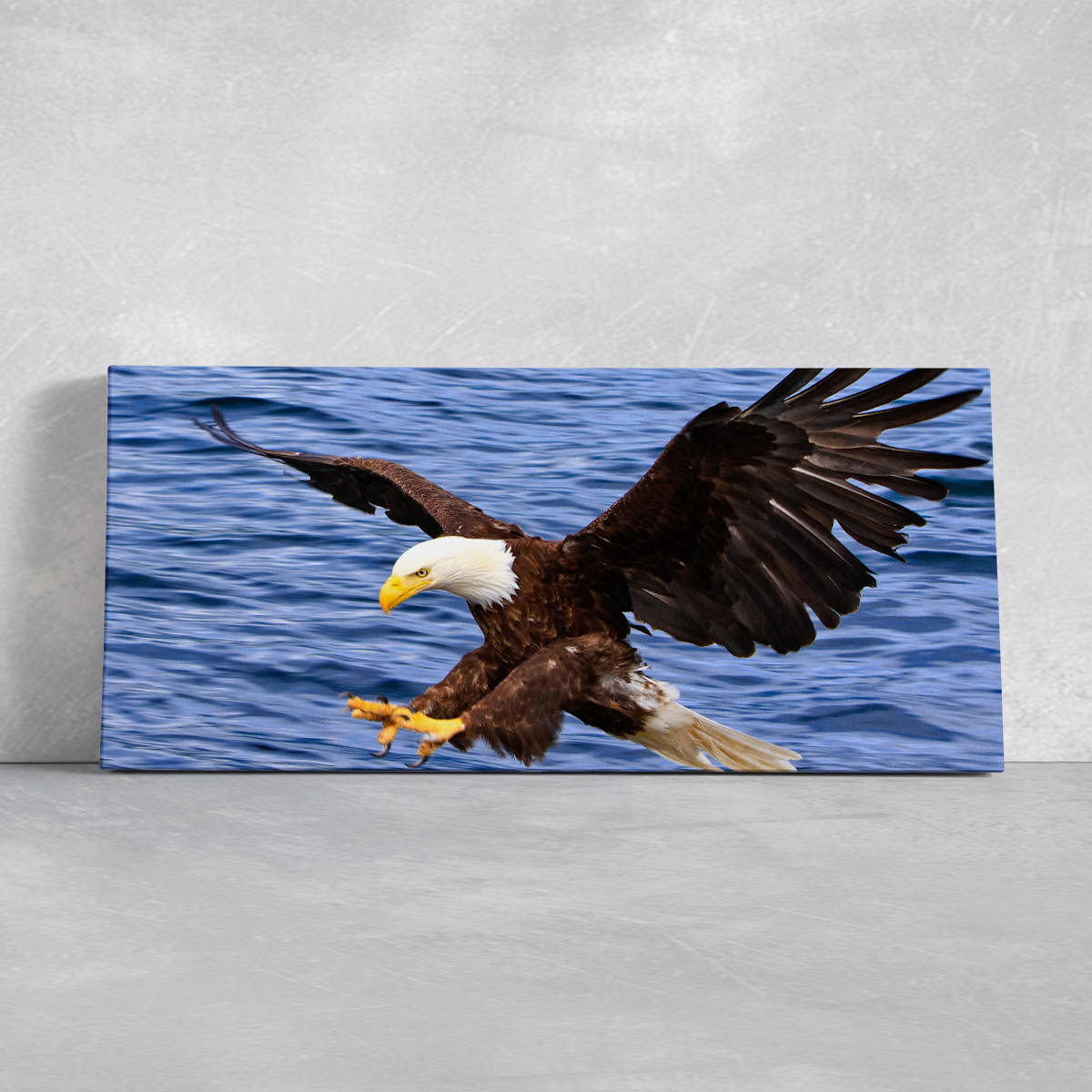Eagles Hunting Fish, Framed Canvas Prints Wall Art Home Decor,Floating –  UnixCanvas