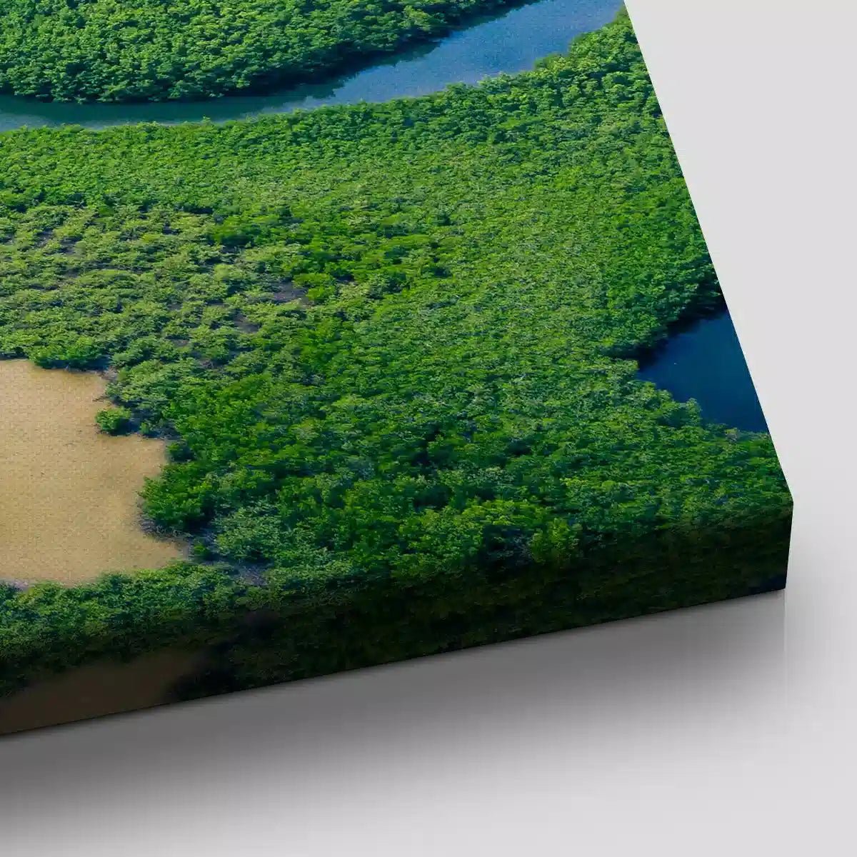 Amazon Rainforest Wall Art Canvas-Stunning Canvas Prints