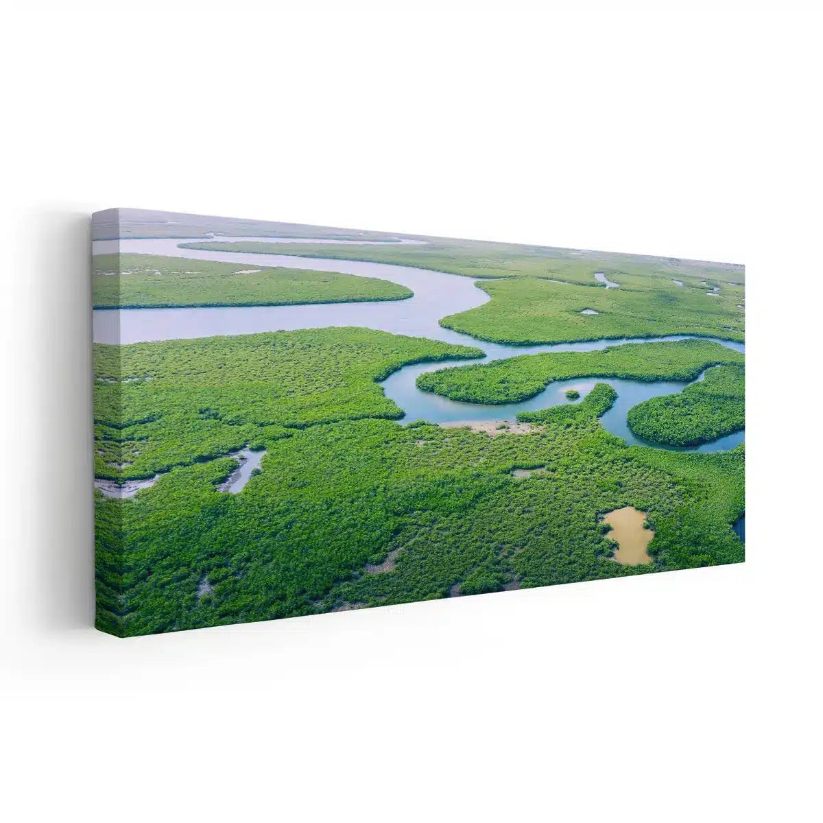 Amazon Rainforest Wall Art Canvas-Stunning Canvas Prints