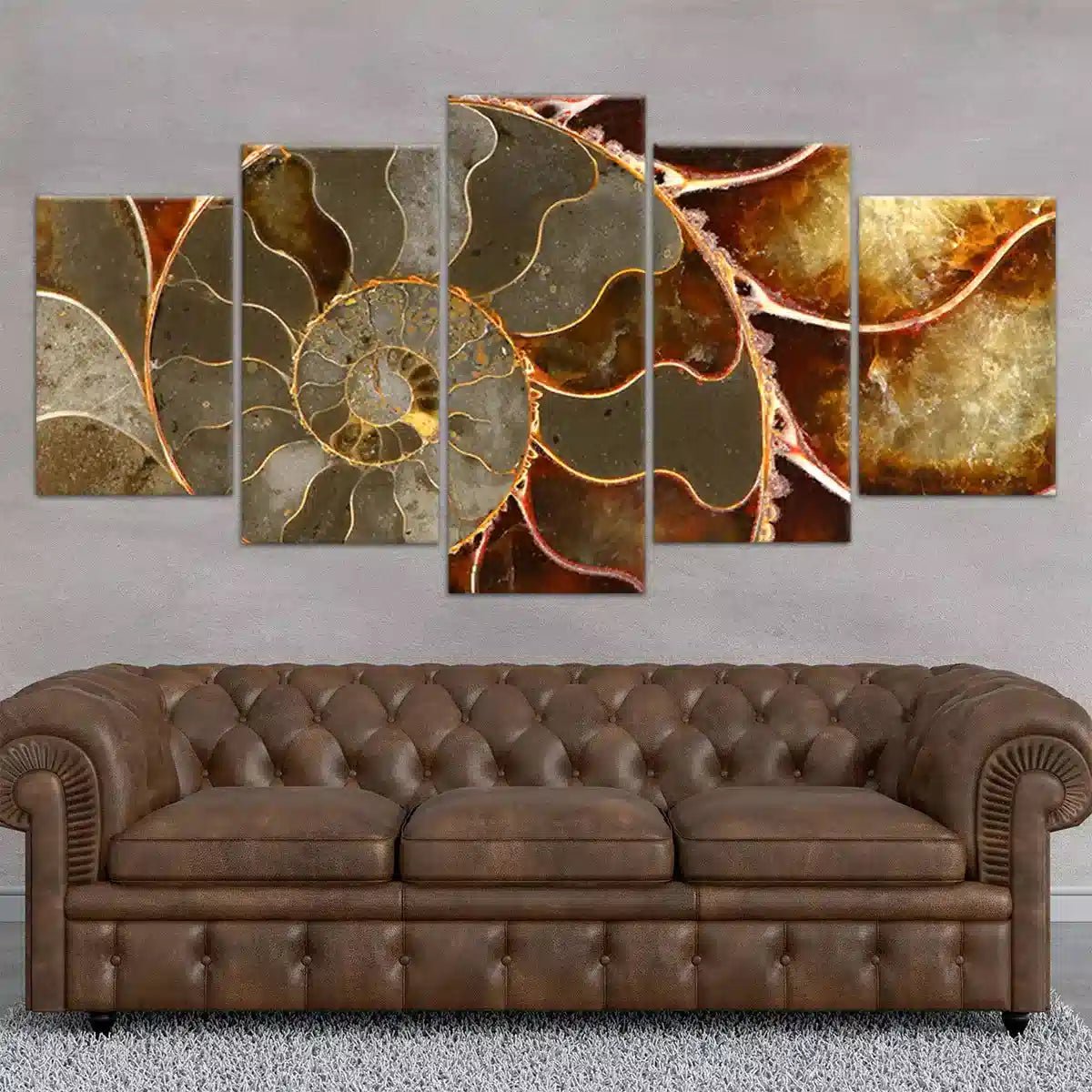 Ammonite Shell Wall Art Canvas Print-Stunning Canvas Prints