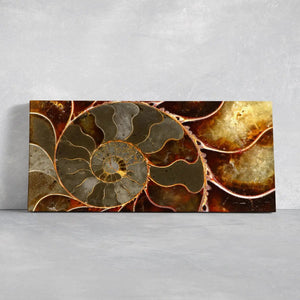 Ammonite Shell Wall Art Canvas Print-Stunning Canvas Prints