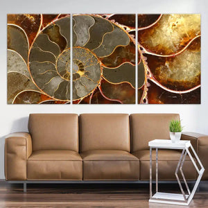 Ammonite Shell Wall Art Canvas Print-Stunning Canvas Prints