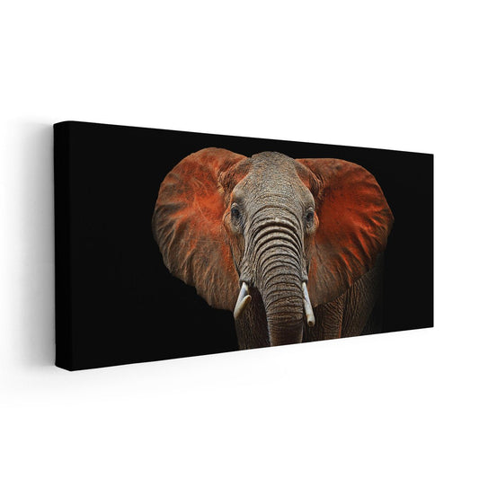 African Elephant Head Wall Art Canvas-Stunning Canvas Prints