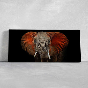 African Elephant Head Wall Art Canvas-Stunning Canvas Prints