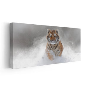 Majestic Bengal Tiger Wall Art Canvas-Stunning Canvas Prints