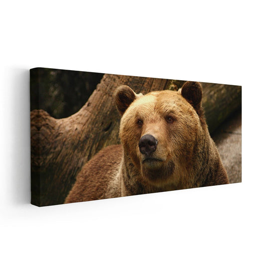 Alaskan Grizzly Bear Wall Art Canvas-Stunning Canvas Prints