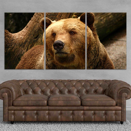 Alaskan Grizzly Bear Wall Art Canvas-Stunning Canvas Prints