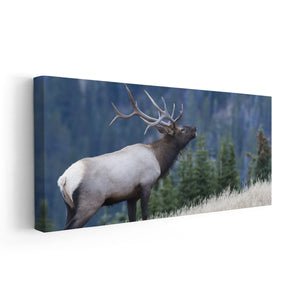 Mountain Bull Elk Wall Art Canvas-Stunning Canvas Prints