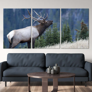 Mountain Bull Elk Wall Art Canvas-Stunning Canvas Prints