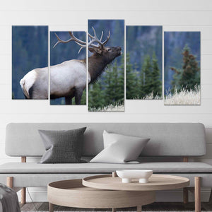 Mountain Bull Elk Wall Art Canvas-Stunning Canvas Prints