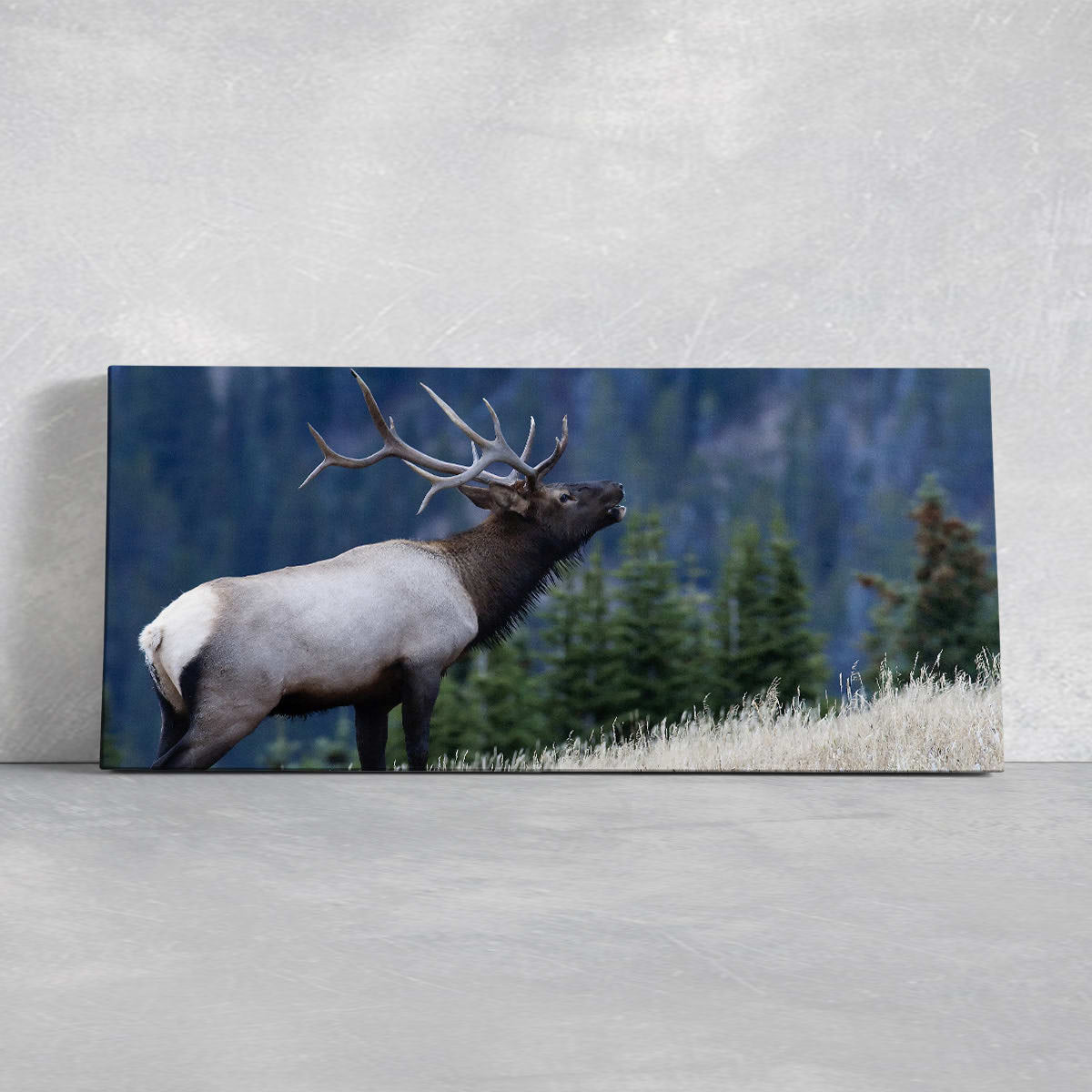 Mountain Bull Elk Wall Art Canvas-Stunning Canvas Prints