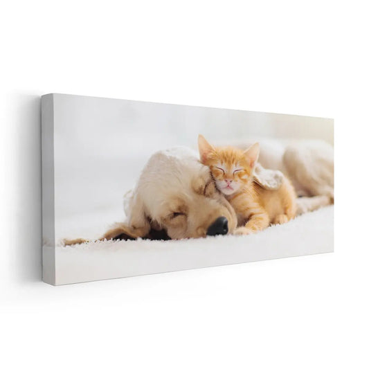 Cat And Dog Wall Art Canvas Print-Stunning Canvas Prints