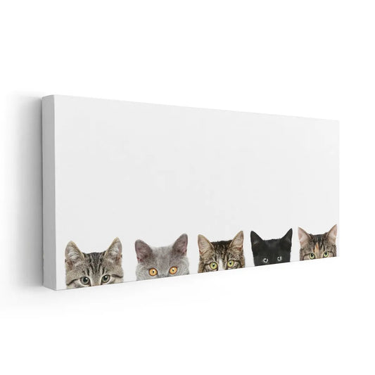 Cat Heads Wall Art Canvas Print-Stunning Canvas Prints