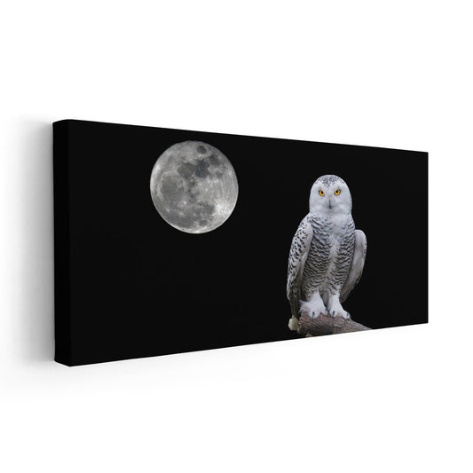 Black And White Owl Wall Art Canvas-Stunning Canvas Prints