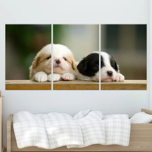 Cute Baby Collie Dogs Wall Art Canvas-Stunning Canvas Prints