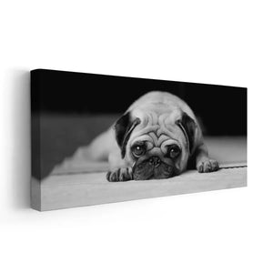 Sad Pug Wall Art Canvas-Stunning Canvas Prints