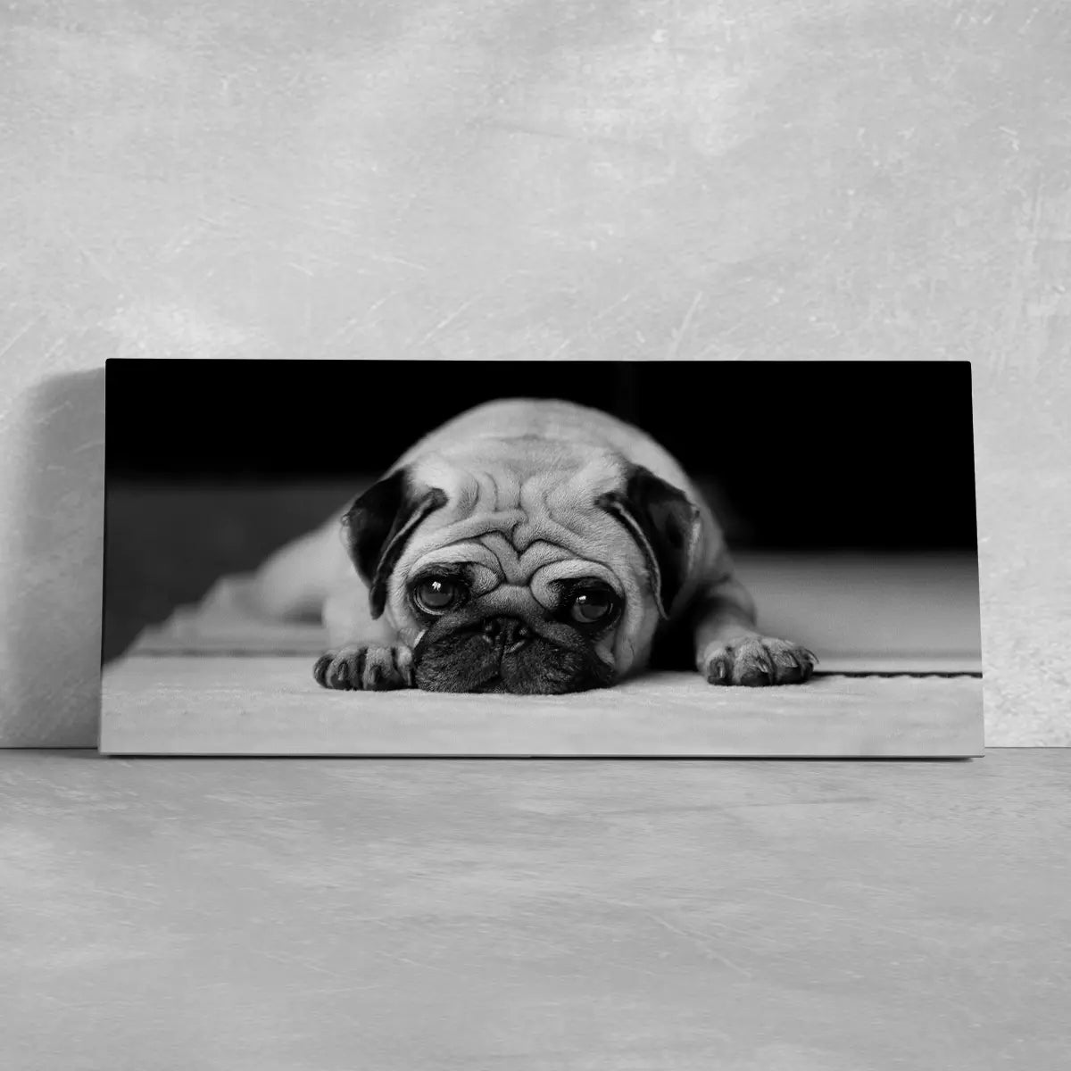 Sad Pug Wall Art Canvas-Stunning Canvas Prints