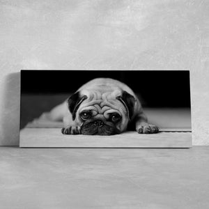 Sad Pug Wall Art Canvas-Stunning Canvas Prints