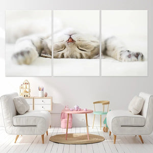 Cute Sleeping Cat Wall Art Canvas-Stunning Canvas Prints