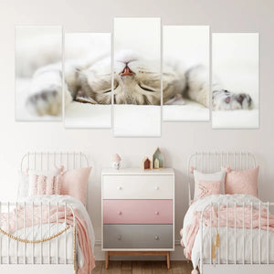 Cute Sleeping Cat Wall Art Canvas-Stunning Canvas Prints