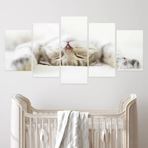 Cute Sleeping Cat Wall Art Canvas-Stunning Canvas Prints