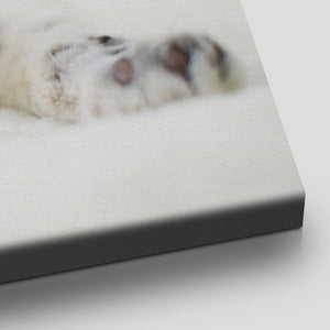 Cute Sleeping Cat Wall Art Canvas-Stunning Canvas Prints