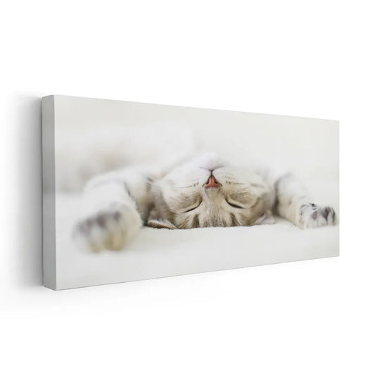 Cute Sleeping Cat Wall Art Canvas-Stunning Canvas Prints