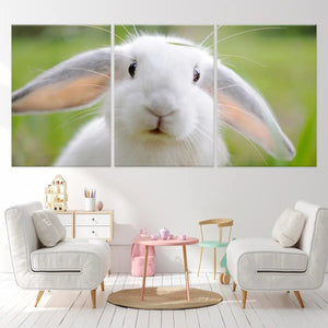 Cute White Rabbit Wall Art Canvas-Stunning Canvas Prints