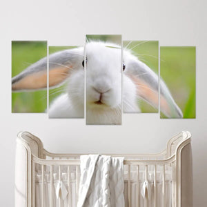 Cute White Rabbit Wall Art Canvas-Stunning Canvas Prints