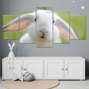 Cute White Rabbit Wall Art Canvas-Stunning Canvas Prints