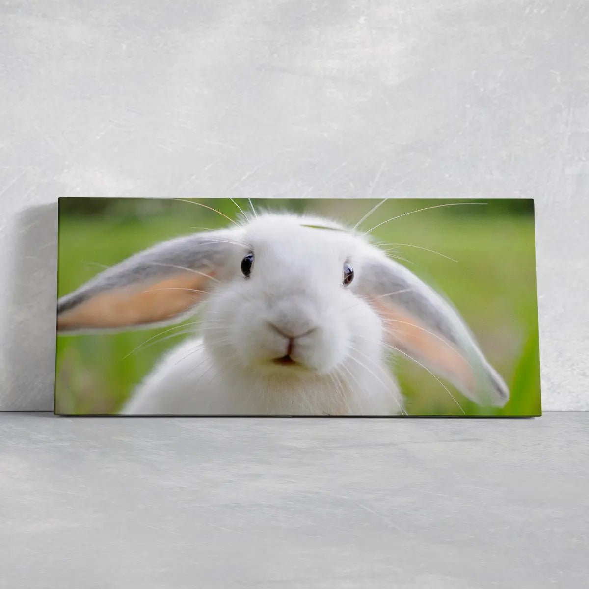 Cute White Rabbit Wall Art Canvas-Stunning Canvas Prints