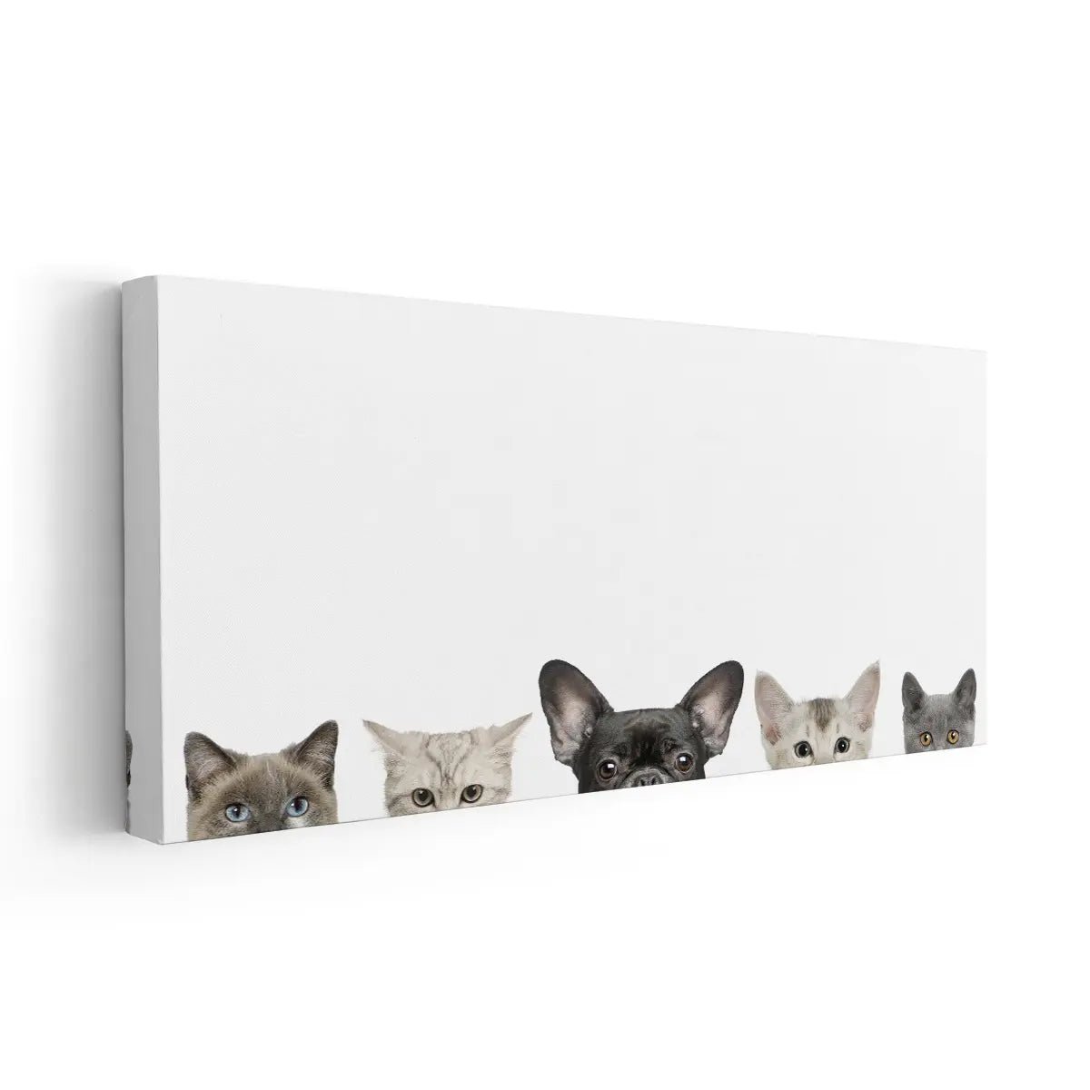 Dog And Cat Heads Wall Art Canvas-Stunning Canvas Prints