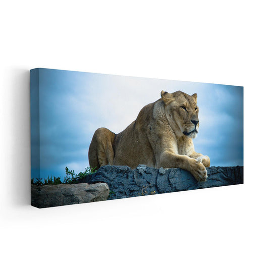 Lioness Wall Art Canvas-Stunning Canvas Prints