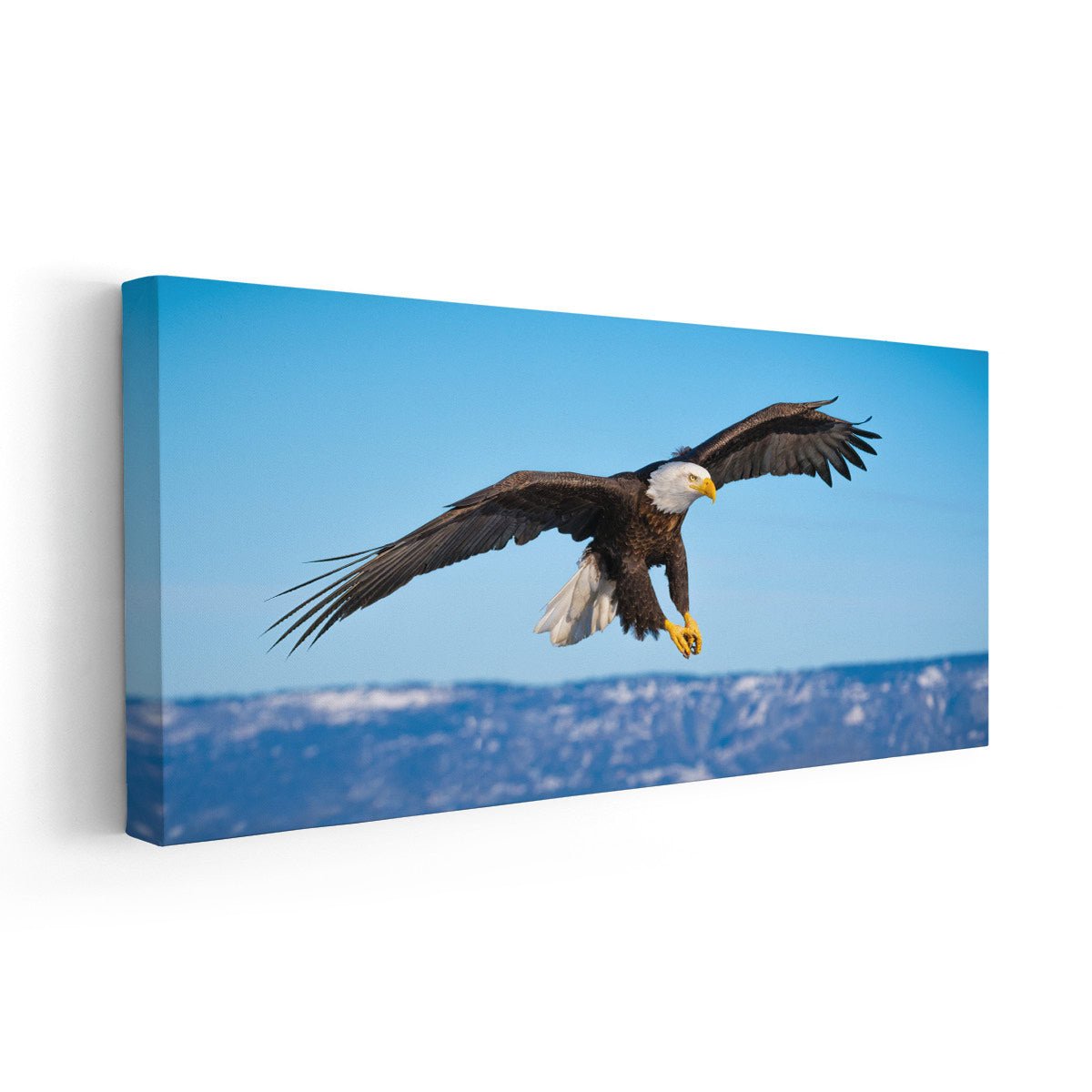 American Bald Eagle Wall Art Canvas-Stunning Canvas Prints