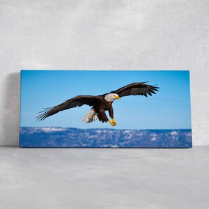 American Bald Eagle Wall Art Canvas-Stunning Canvas Prints