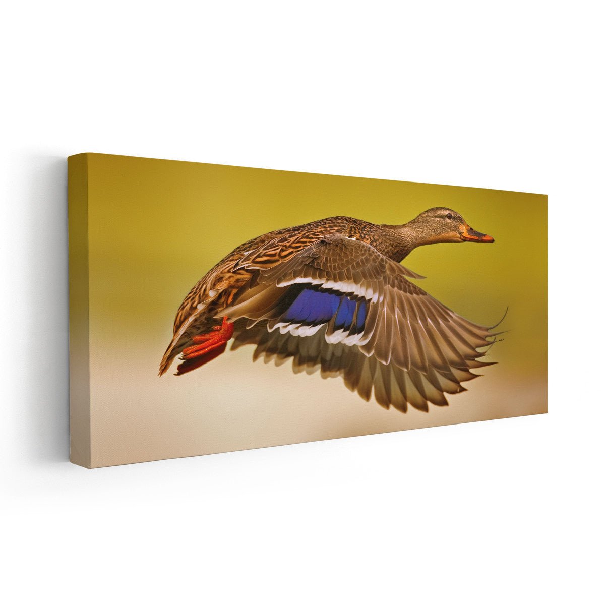 Flying Duck Wall Art Canvas-Stunning Canvas Prints