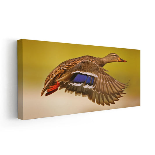 Flying Duck Wall Art Canvas-Stunning Canvas Prints