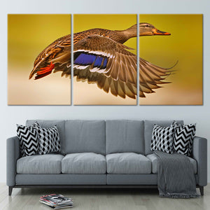 Flying Duck Wall Art Canvas-Stunning Canvas Prints