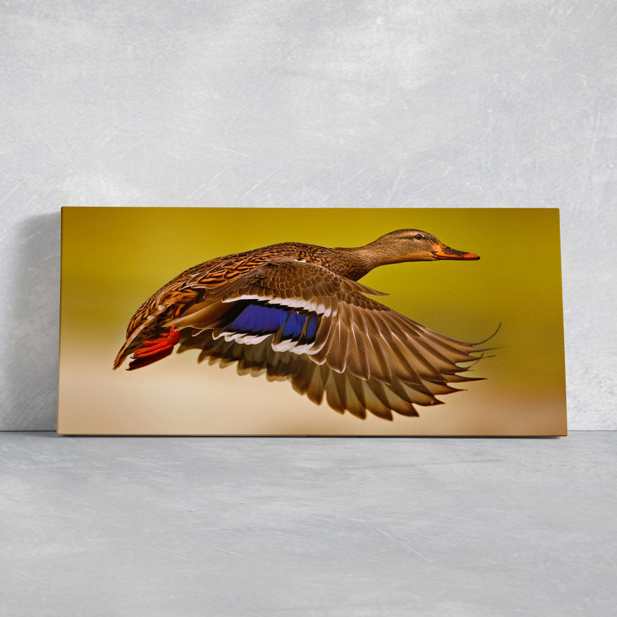 Flying Duck Wall Art Canvas-Stunning Canvas Prints