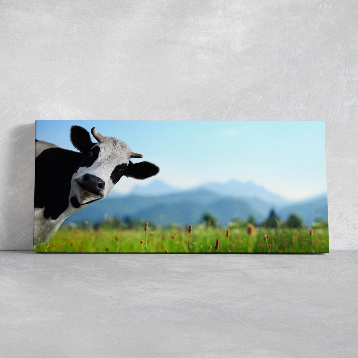 Funny Cow Wall Art Canvas-Stunning Canvas Prints