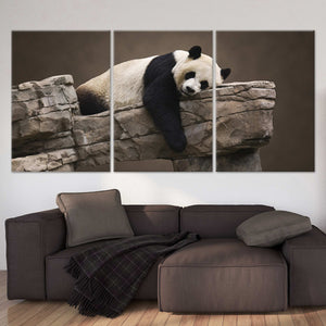 Panda Bear Wall Art Canvas-Stunning Canvas Prints